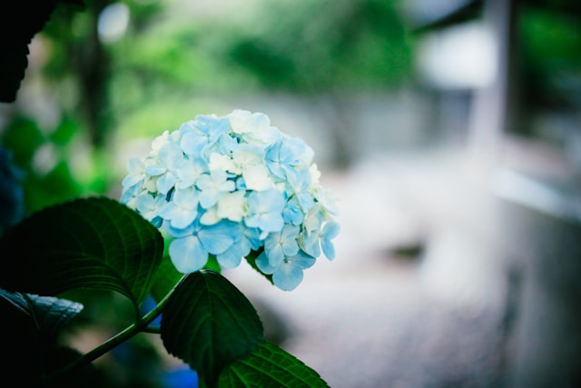 featured image